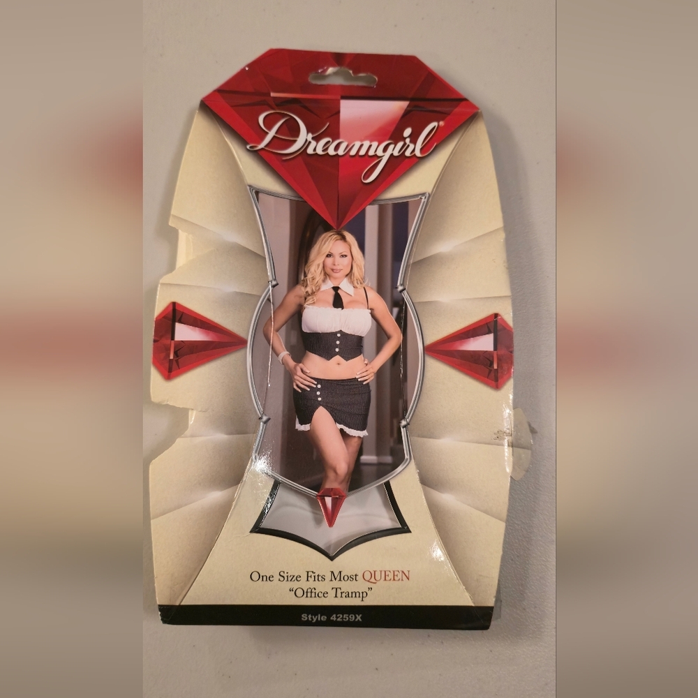Plus Size Dreamgirl Office Tramp Naughty Secretary 4 Piece Set Worn Once